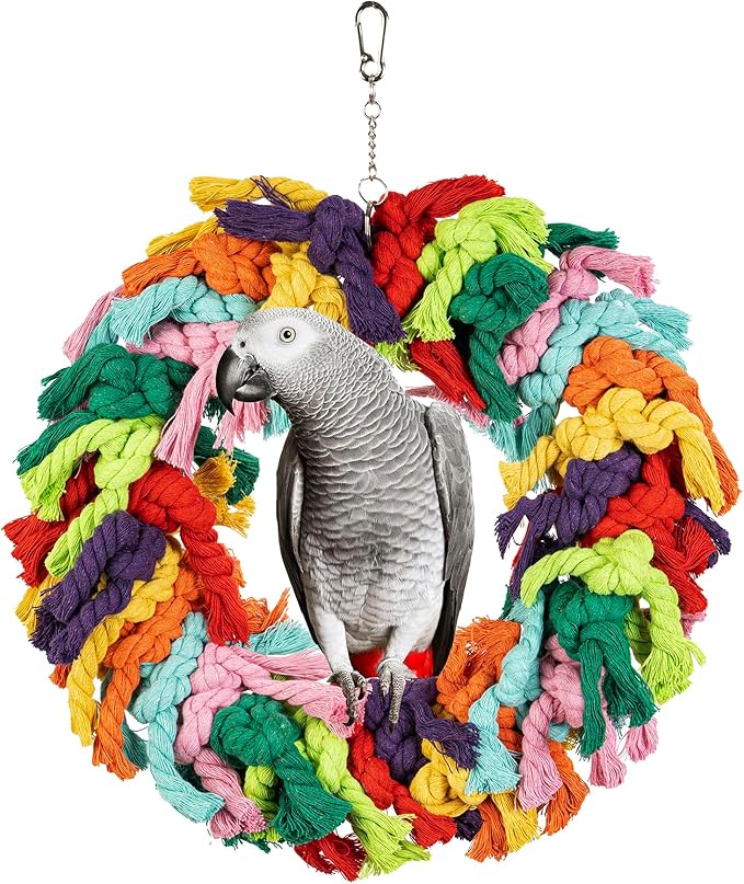 Parrot Swing for Large Birds by Unknown