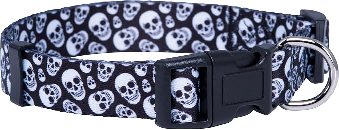 Native Pup Skull Dog Collar for Halloween by NativePup