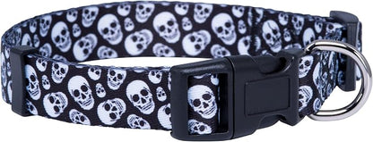 Native Pup Skull Dog Collar for Halloween by NativePup