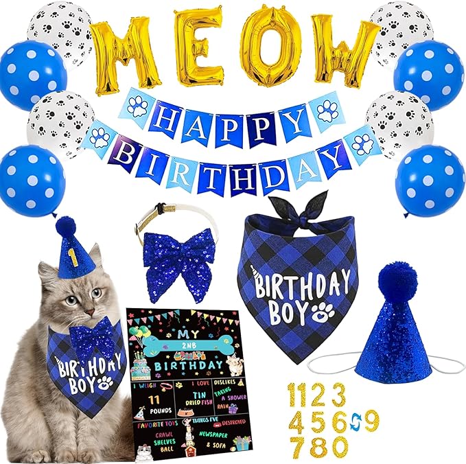 Cat Kitten Birthday Bandanas Cat Birthdays Party Supplies Party Hat Boy by DULUDULU