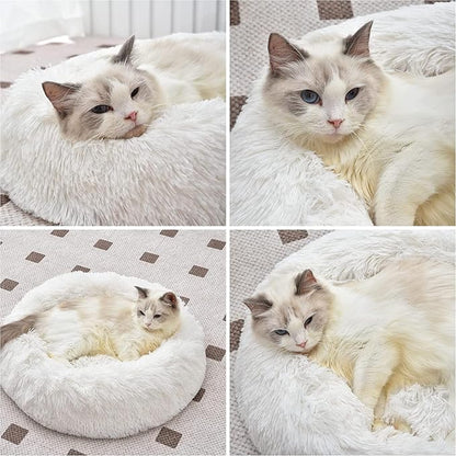 Cat Beds for Indoor Cats - Image 5