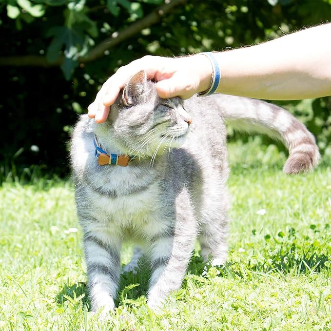 Pettsie Breakaway Cat Collar - Image 2