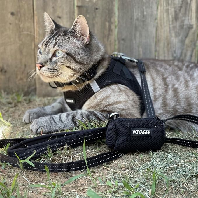 Best Pet Supplies Voyager Reflective Dog Leash or Collar - Image 4