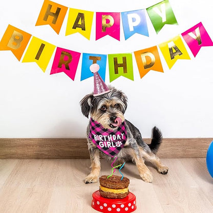 Dog Birthday Party Supplies Decorations - Image 7