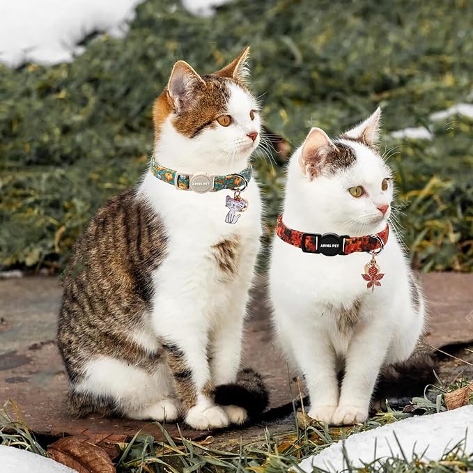 ARING PET 2 Pack Cat Collars, Breakaway Cotton Fall Halloween Kitten Collar - Image 3