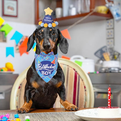 ADOGGYGO Dog Birthday Party Supplies, Party Hat - Image 2