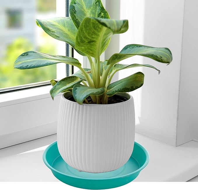 2 Pack of 14 inch Plant Saucers Bird Bath Bow Round, Plastic Plant Saucer Tray - Image 4