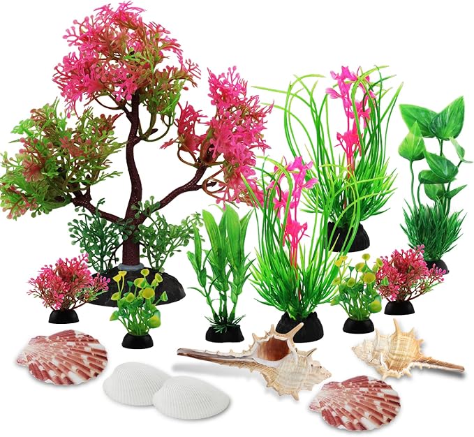 Aquarium Plants with Natural Decorations Shells - Image 8