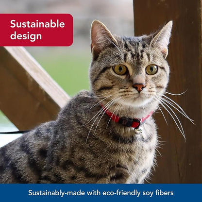 Coastal Pet New Earth Soy Adjustable Breakaway Cat Collar - Image 3