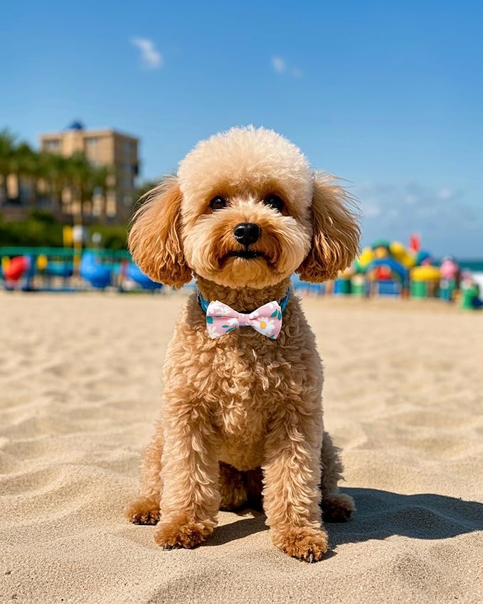 PET SHOW 10 Pack Floral Small Dog Bow Ties Sliding Collar Attachments Puppy - Image 6