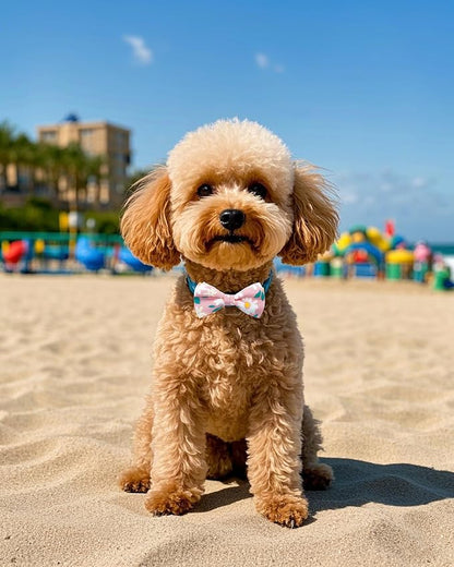 PET SHOW 10 Pack Floral Small Dog Bow Ties Sliding Collar Attachments Puppy - Image 6