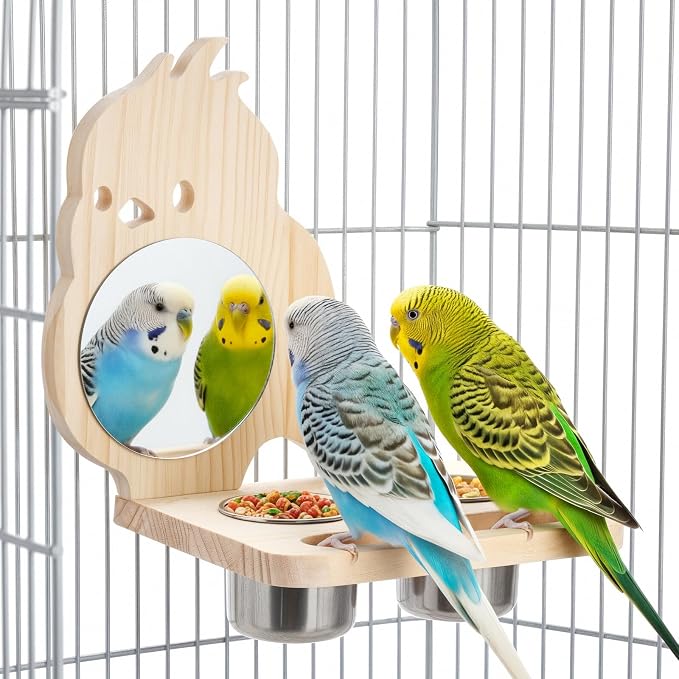 Feeder with Acrylic Mirror & Stainless Steel Bowls, Natural Wood Perch by SMICEM