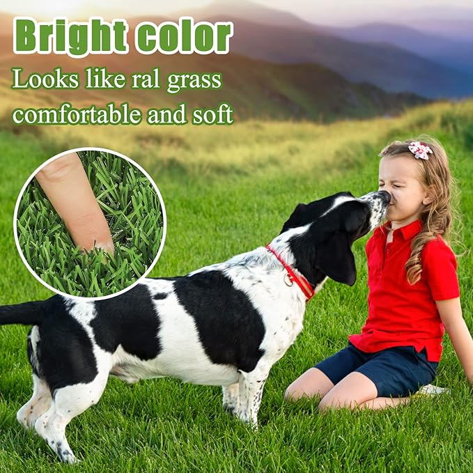 Bsmathom Artificial Grass Rug Indoor Outdoor Rug, Professional Dog Potty - Image 6