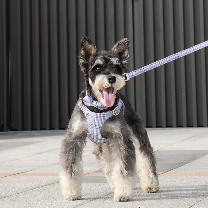 Beirui Cute Extra Small Dog Harness Collar and Leash Set - Image 4