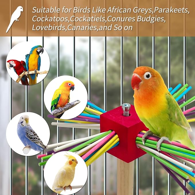 Bird Perch Toy for Cage, Spinning Windmill Bird Perch Toy, 360° Rotating - Image 5