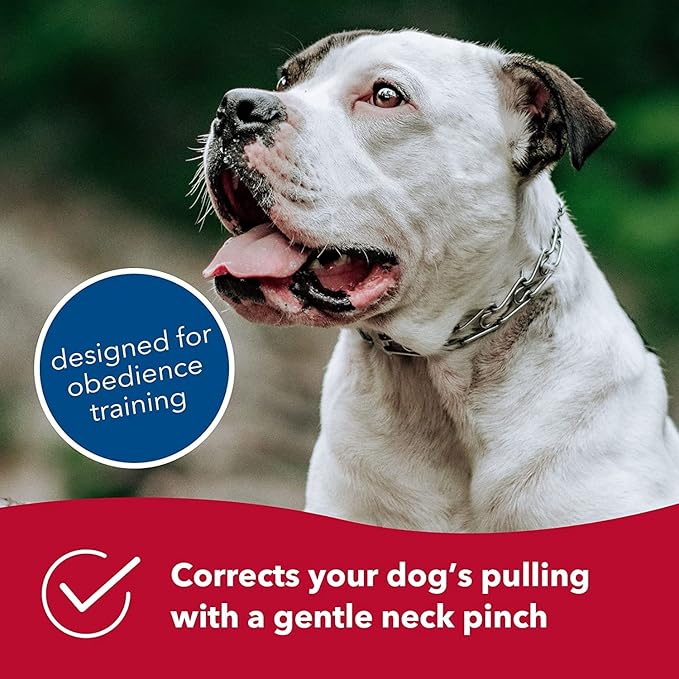 Herm Sprenger Ultra-Plus Prong Dog Training Collar, 2.25 mm x 13" Neck Size - Image 6
