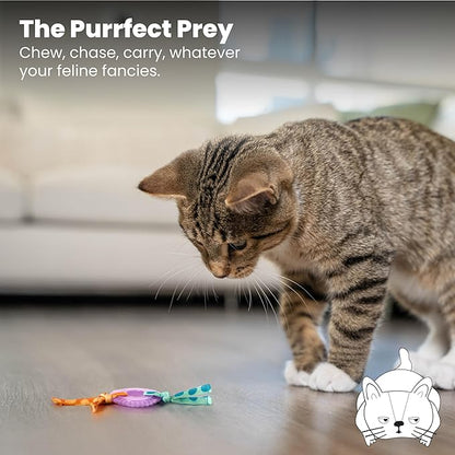 Catstages Kitty Chew Wheel, Dental Cat Toy - Image 6