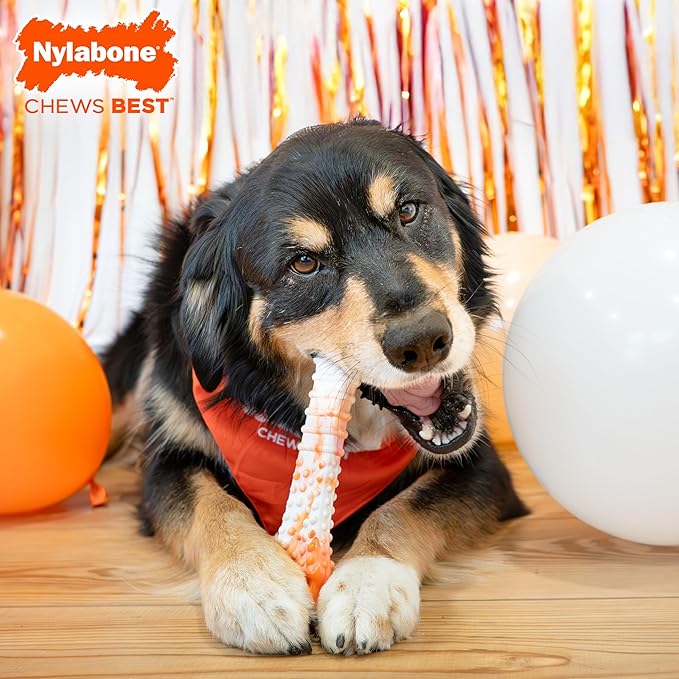 Nylabone Limited Edition 70th Birthday Textured Bone Power Chew Toy - Image 2