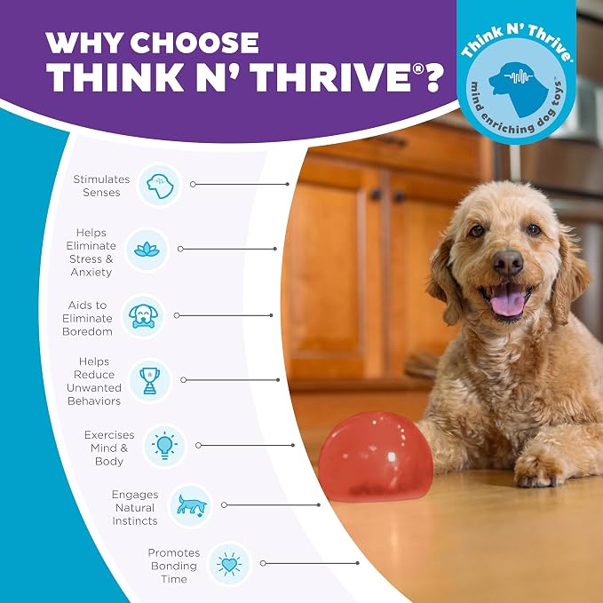 Outward Hound by Planet Dog Lil' Snoop Dog Toy – Treat‑Dispenser Puzzle Ball - Image 8