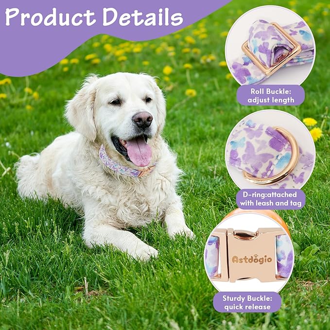 Elegant Butterfly Dog Collar, Adjustable Comfortable - Image 4
