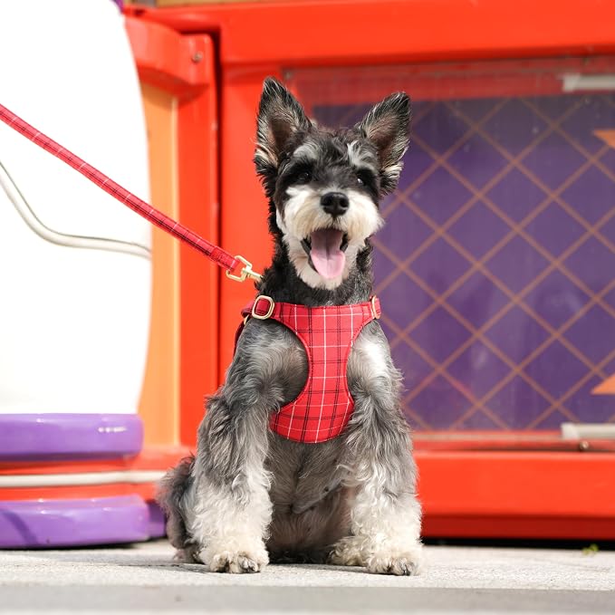 Beirui Cute Extra Small Dog Harness Collar and Leash Set - Image 4