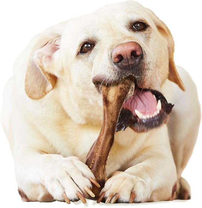 Nylabone Healthy Edibles WILD Natural Longer-Lasting Chew Treats, Venison Flavor - Image 11