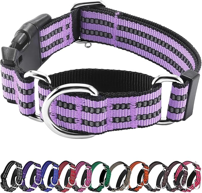 Hikiko Martingale Dog Collars Reflective Nylon Dog Collar by Hikiko