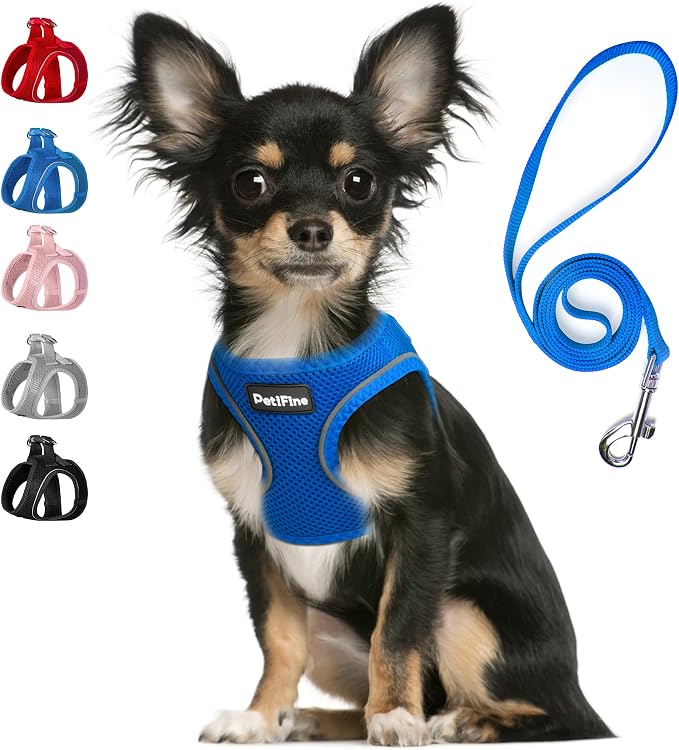 PetiFine Step in Small Dog Harness and Leash Set, Breathable All Weather Air by PetiFine