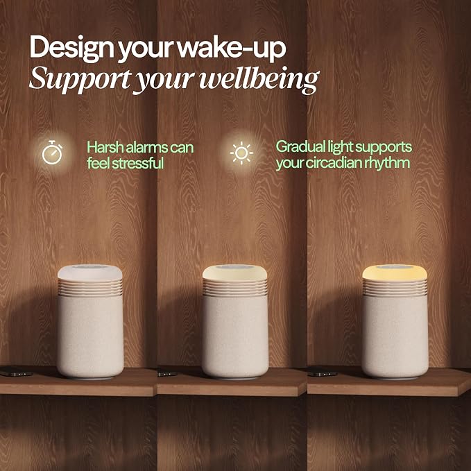 BLUEAIR Purifier for Bedroom - Image 3