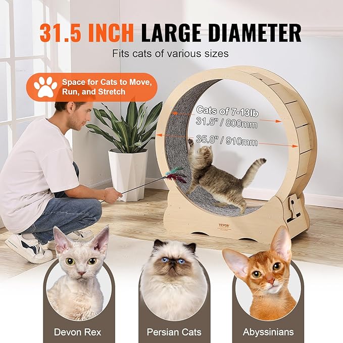VEVOR Cat Exercise Wheel, Large Cat Treadmill Wheel - Image 4