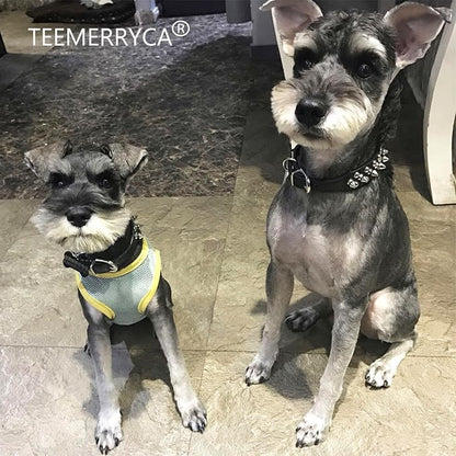TEEMERRYCA Adjustable Microfiber Leather Spiked Studded Dog Collars - Image 6
