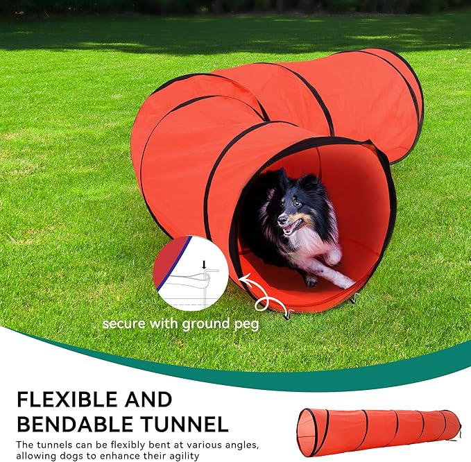 DWVO Dog Agility Accessories Kit: Comprises of a Teaser Pole, 2 Hurdles - Image 4
