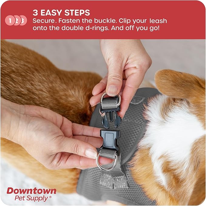 Downtown Pet Supply Step-in Dog Harness – No Pull, Adjustable Padded Mesh - Image 5