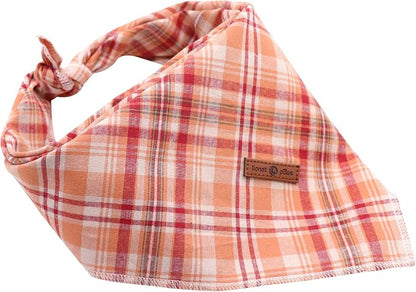 Lionet Paws Fall Dog Bandana Halloween Thanksgiving Washable Cotton - Image 3