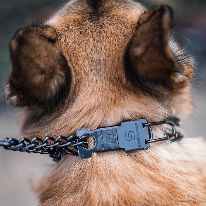 Herm Sprenger Black Stainless Steel Dog Collar - Image 11