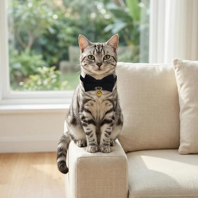 THAIN Cat Collar with Bow Tie and Bell, Breakaway Adjustable Cute Soft Corduroy - Image 5