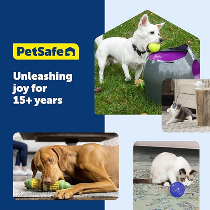 PetSafe SlimCat Interactive Feeder - Image 8