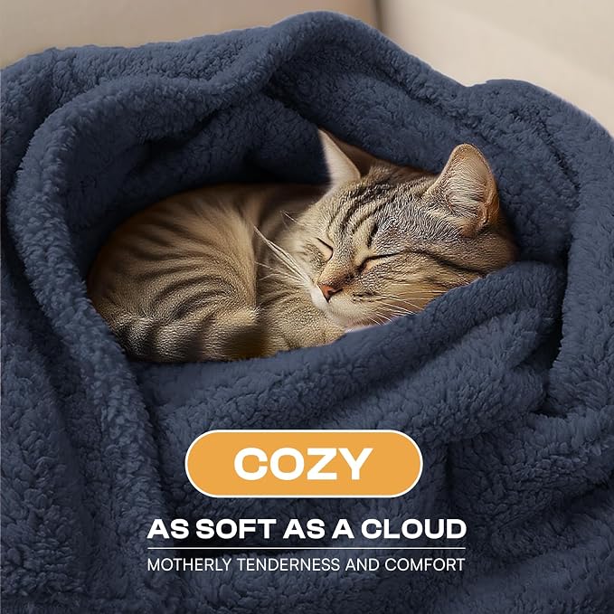 Luciphia Waterproof Pet Blanket - Image 2