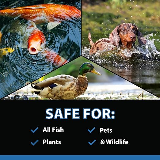 CrystalClear MuckOff, Natural Pond Muck Treatment, Water Garden, Fountain & - Image 7