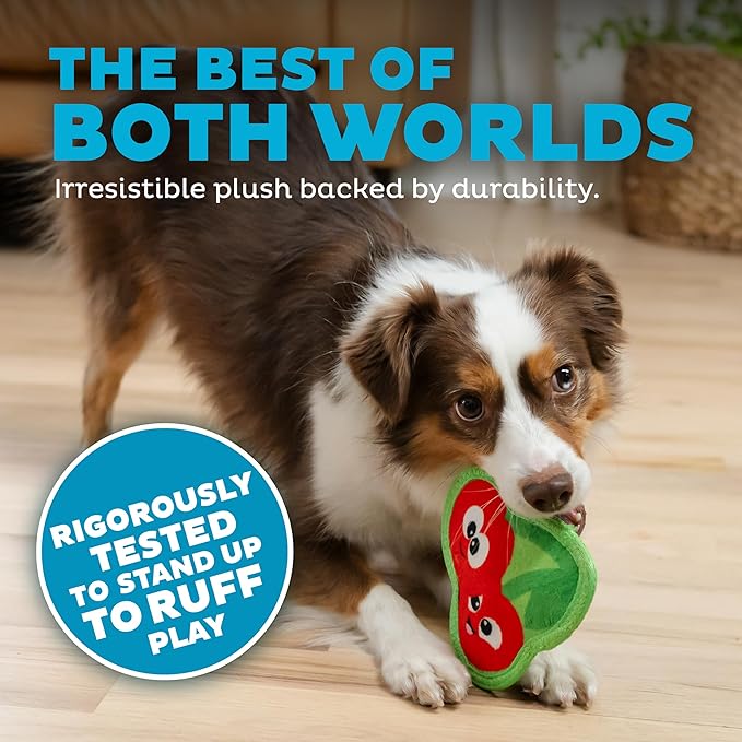 Outward Hound Tough Skinz Durable Squeaky Dog Toy - Image 3