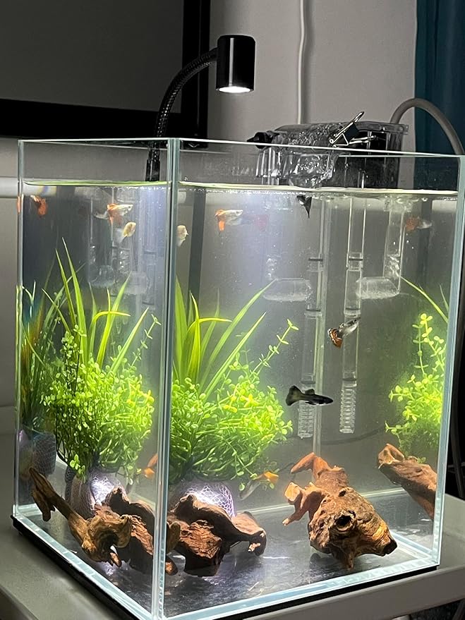 Small Natural Driftwood for Aquarium Styling Carefully Selected Natural - Image 5