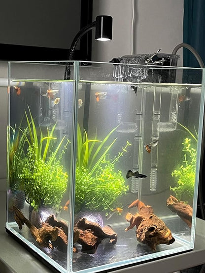 Small Natural Driftwood for Aquarium Styling Carefully Selected Natural - Image 5