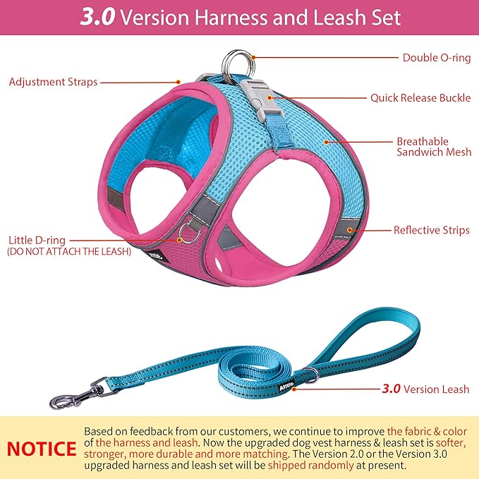 AIITLE Step in Dog Harness and Leash Set - Image 3
