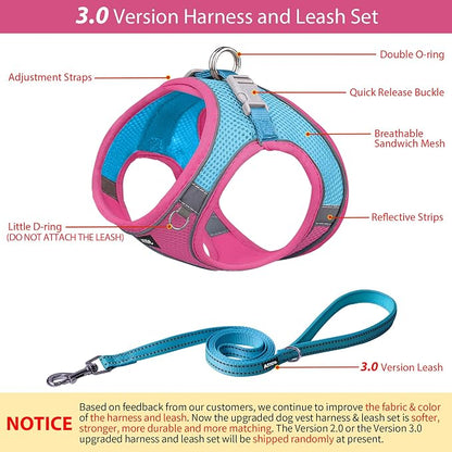 AIITLE No Pull Dog Harness and Leash Set, Step in Adjustable Dog Harness - Image 3