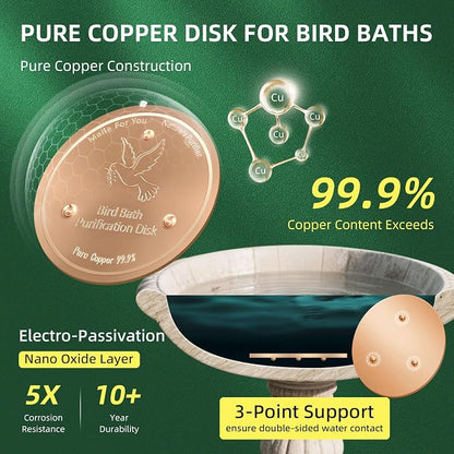 Bird Bath Copper Disk, Pure Copper Bird Bath Purification Disc, Save Cleaning - Image 3