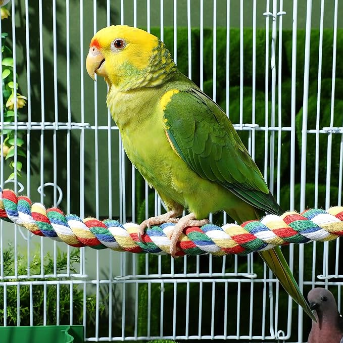 iplusmile Bird Rope Perch Swing & Climbing Toy - Image 8