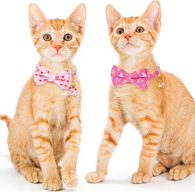 Faygarsle 2 Pack Breakaway Cat Collar - Image 6
