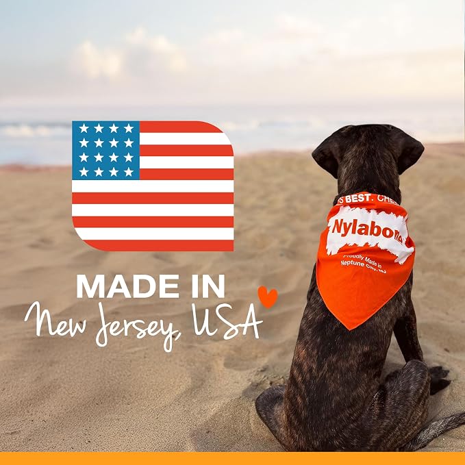 Nylabone Flexi Chill & Chew Toy - Image 10