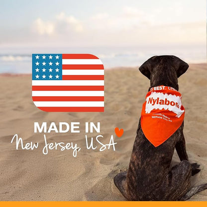 Nylabone Flexi Chill & Chew Toy - Image 10