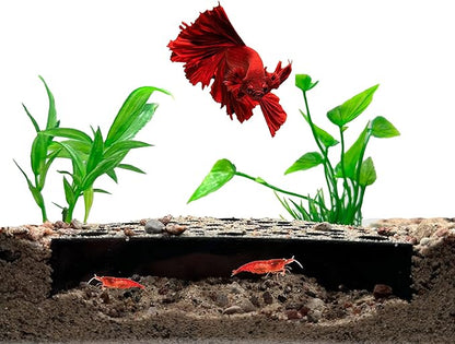 Shrimp Breeding Protector | Shrimp Breeding Cave Aquarium Tunnel | CTWPets by CTWPets